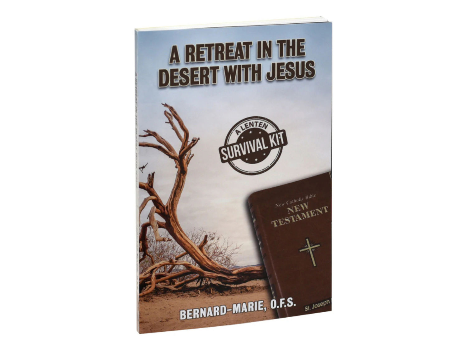 A Retreat in the Deset with Jesus